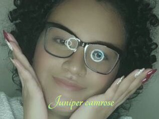 Juniper_camrose