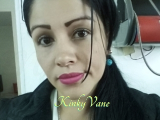 KinkyVane