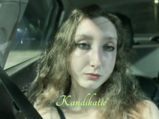 Kandikatie