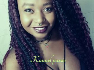 Kannel_passie