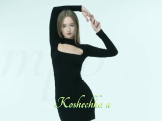 Koshechka_a