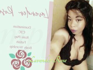 Lavender_Rose