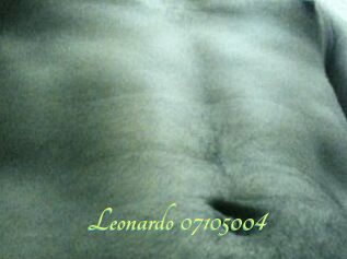 Leonardo-07105004