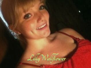 LillyWallflower