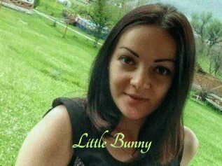 Little_Bunny_