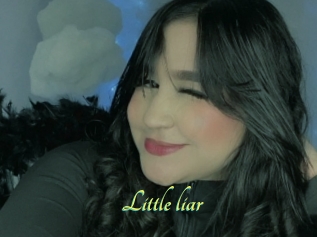 Little_liar