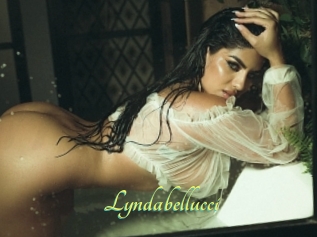 Lyndabellucci