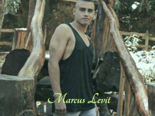 Marcus_Levit