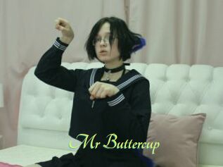 Mr_Buttercup