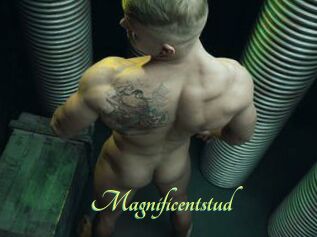 Magnificentstud