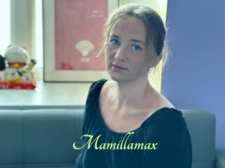 Mamillamax