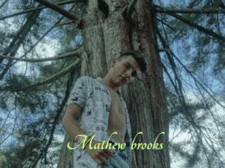 Mathew_brooks