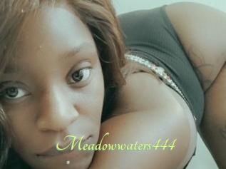 Meadowwaters444