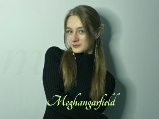 Meghangarfield