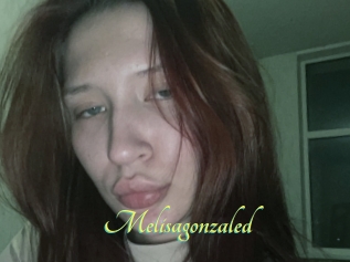 Melisagonzaled