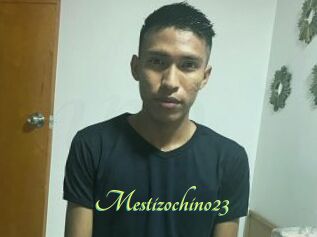 Mestizochino23