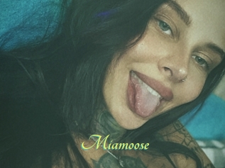 Miamoose