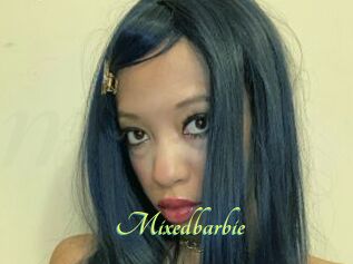 Mixedbarbie