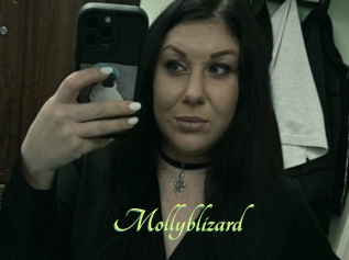 Mollyblizard