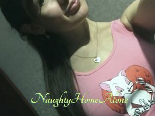 NaughtyHomeAlone