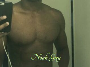 Noah_Grey