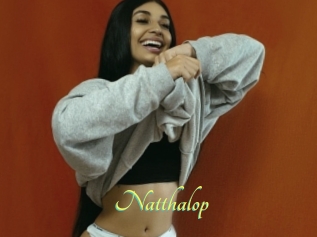 Natthalop