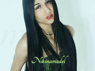 Nikinamodel