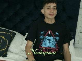 Noahsprouse