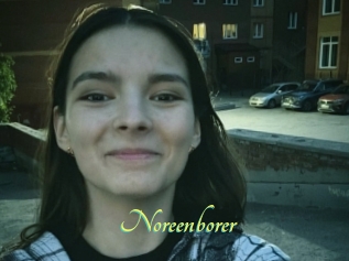 Noreenborer