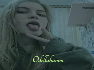 Odellahamm