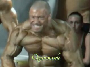 Oigan_muscle