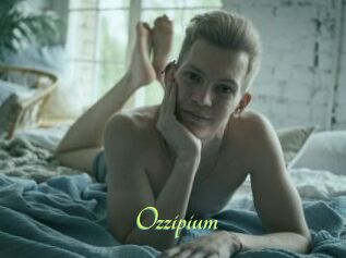 Ozzipium