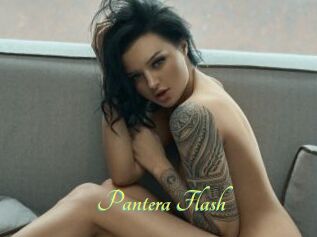 Pantera_Flash