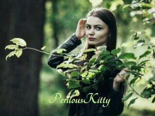 Perilous_Kitty