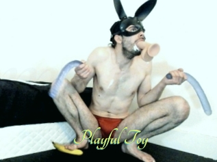 Playful_Toy