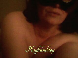 Playfulsubtoy