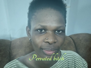 Pervated_bitch