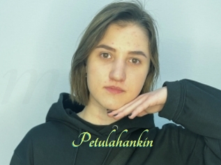 Petulahankin