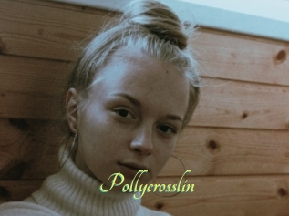 Pollycrosslin