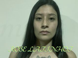 ROSE_LATINHOT