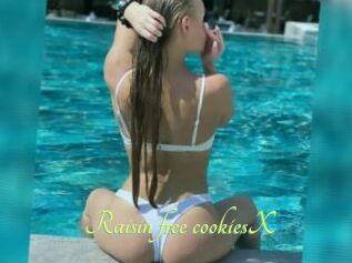 Raisin_free_cookiesX