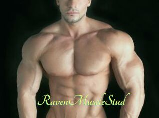 RavenMuscleStud