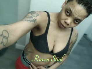 Raven_Stud