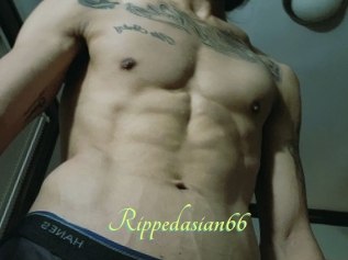 Rippedasian66