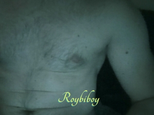 Roybiboy