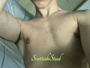 Scottish_Stud