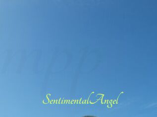 SentimentalAngel