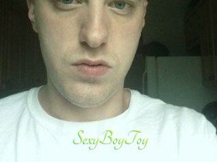 SexyBoyToy