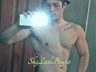 ShyLittleBoy20