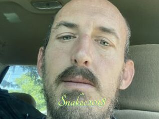 Snakec2018